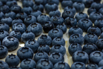 Blueberry Cream Pie