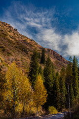 autumn in the mountains