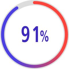 circle percentage diagrams, Pie Charts icon Showing 91%