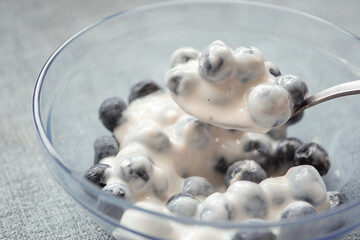 close up of fresh yogurt with blue berry in a bowl 