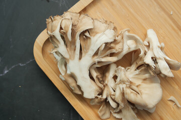 black fungus on white background with copy space 