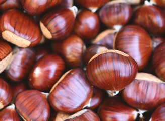 Beautiful close-up of a chestnut
