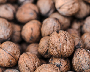 Beautiful close-up of a walnut
