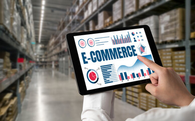 E-commerce data software provide modish dashboard for sale analysis to the online retail business