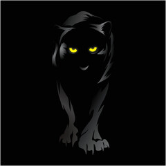 panther in the dark