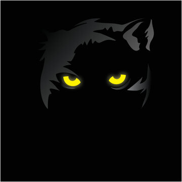 Panther in the dark