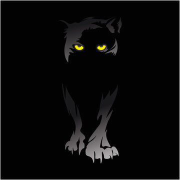 Panther in the dark