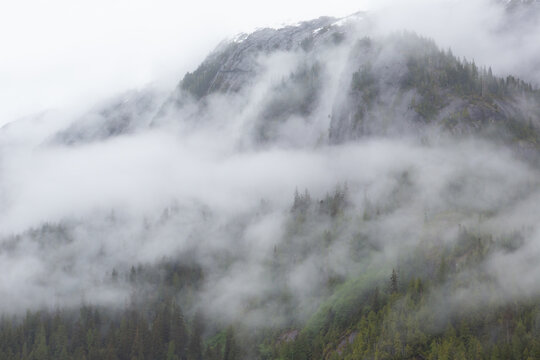 Clouds and fog hanging in the forest canopy of the coastal temperate rainforest in South East Alaska © David Katz