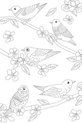 Coloring book with amusing birds sitting on bloom branches of a