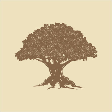 Vintage tree illustration