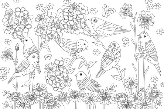 Coloring book with amusing birds perching on stems of flowers. B
