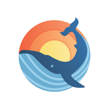 Whale illustration