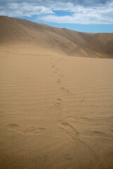 Pisadas de un desconocido en las dunas del desierto