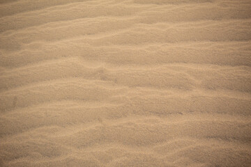 Textura de la arena de las dunas salvajes de la isla