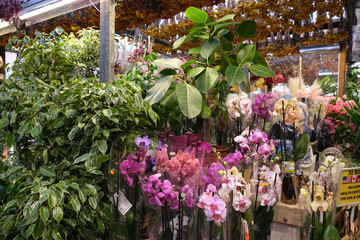 La città di Amsterdam