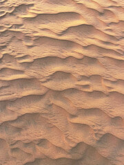 Fototapeta na wymiar Natural pattern on a dune sand at sunset in desert