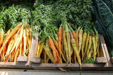 Fresh carrots for sale at Borough Market, London