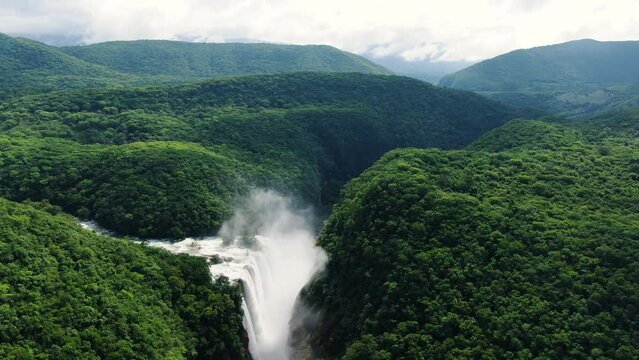 Wild Tamul waterfall landscape aerial drone.Awesome unspoiled forest cascade aerial vertical drone view. American Caribbean river cascade in the rainforest.
The tallest waterfall in the state.