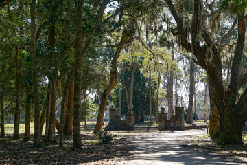 Cumberland Island, Georgia, USA: The grounds of Dungeness, a ruined mansion amid Southern live oaks...