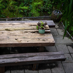 Outdoor wooden table with bench made of logs in a green garden