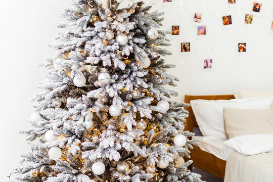 New Years bright interior bedroom with decorated Christmas tree with garlands, white bed, beige blanket, photos on the wall. Christmas interior. Scandinavian style. Location for photo shoot.