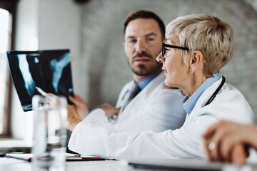 Senior female doctor and her male colleague analyzing medical scan in the hospital