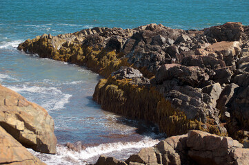 peninsula of rock jutting out from shore into atlantic ocean, along marginal way in ogunquit maine, showing waves crashing  and seaweed on rocks.