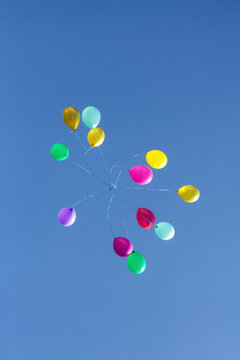 Balloons of red, burgundy, pink, purple, yellow, blue and green colors with ribbons, in a blue clear sky, without clouds, during the day.