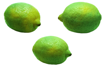 グリーンレモン イラスト リアル セット 