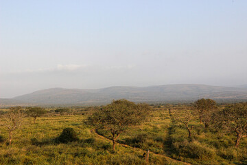 Mkhuze Game Reserve landscape, Northern Zululand, South Africa