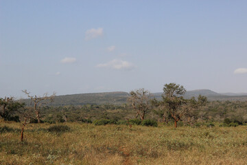 Obraz premium Mkhuze Game Reserve landscape, Northern Zululand, South Africa