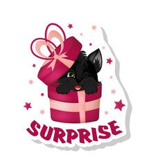  Sticker with cute little black cat sitting in gift box.