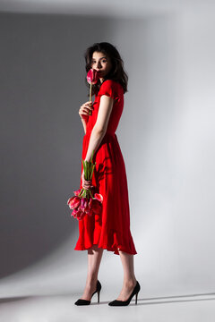 Full lengt profile image of a brunette young woman in red dress holding a bouquet of tulips and spins, isolated grey background.