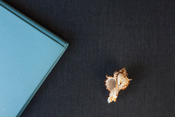 A composition of a beautiful seashell and a fragment of the cover of a stylish photo book with a blue leather cover, hardcover, lie on a dark surface in the room.