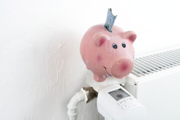 Frierendes eingefrorenes Sparschwein auf ausgestelltem Heizkörper um Kosten zu sparen, horizontal,...