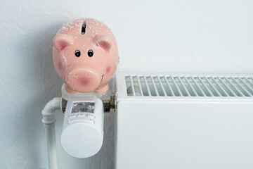 Frierendes eingefrorenes Sparschwein auf ausgestelltem Heizkörper um Kosten zu sparen, horizontal, weißer Hintergrund  - obrazy, fototapety, plakaty