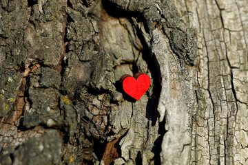 Drewniane czerwone serce na pniu drzewa