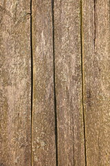 The texture of a wooden fence. The background is made of dry, old, vertical, unpainted boards.