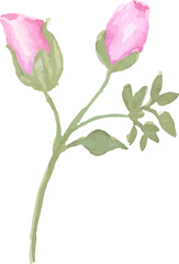 watercolor hand painted Rose Flower botanical leaf