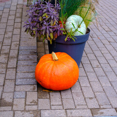 Seasonal decorations with pumpkins and flowers outside. Autumn harvest, Thanksgiving or Halloween background. Autumn decorations of flowers and pumpkins at the entrance of the building.