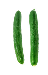 きゅうり イラスト リアル セット 