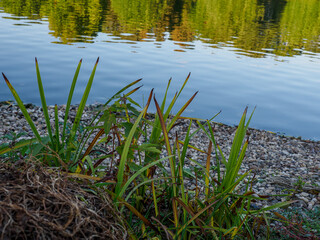 Bocholt und der Aasee im Münsterland