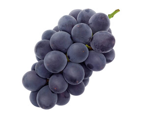 ぶどう 巨峰 イラスト リアル 