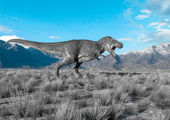 Obraz na płótnie Canvas tyrannosaurus rex is walking around in plains and mountains