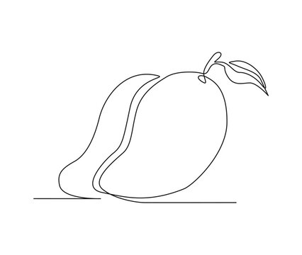 Continuous one line drawing of mango fruit with leaf. Mango fruit hand drawn single line art vector illustration.
