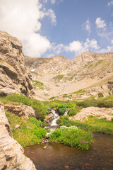 Man with Yellow Backpack Hiking on Alpine Lake Trail with Wildflowers in Colorado Rocky Mountains