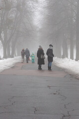 A portrait shot of people walking in the foggy alley in the middle of trees at Holosiivskyi National Nature Park, Kyiv, Ukraine