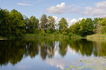 Fototapeta na wymiar trees reflecting in the forest lake