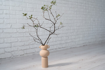 tree branch with the first spring leaves in vase decorates urban apartment