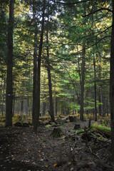 La Plaine 7 Octobre 2022